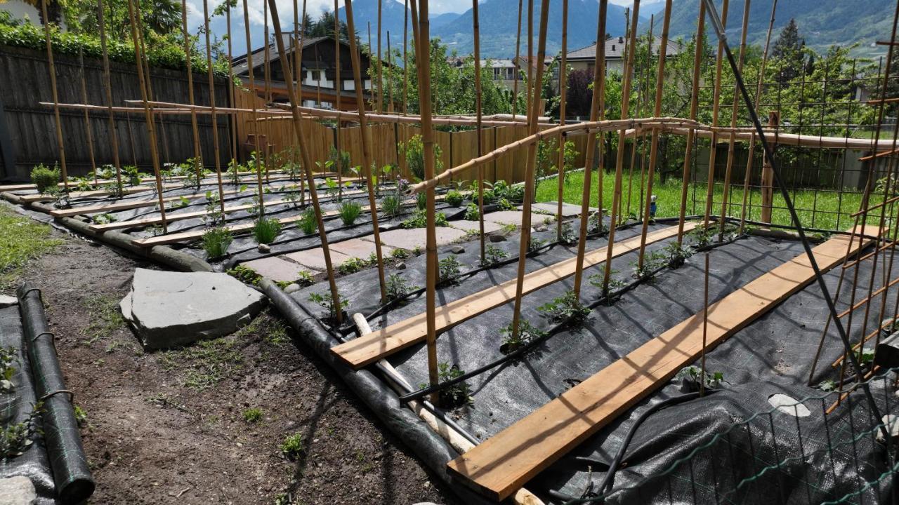 Nora S Home 2 - Panoramic Terrace & Bio Garden Merano Esterno foto