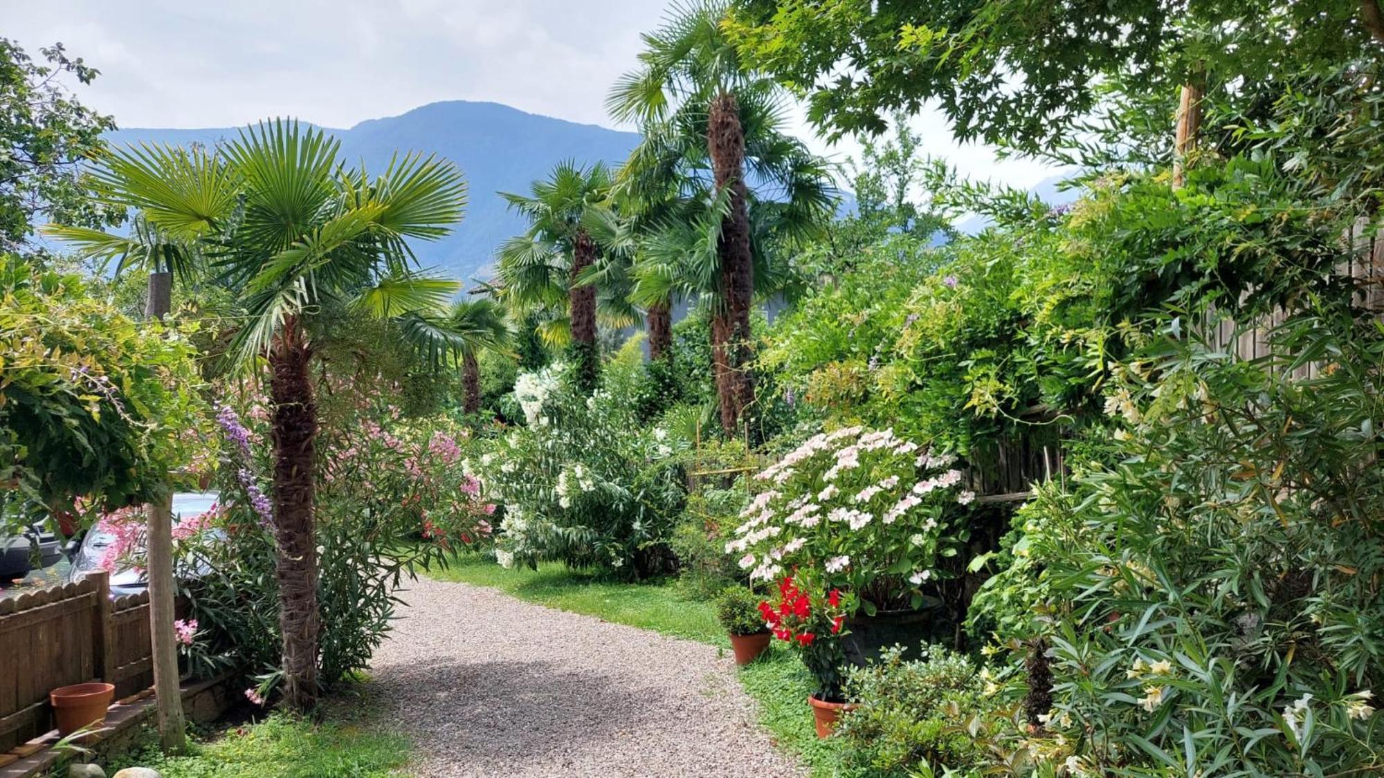 Nora S Home 2 - Panoramic Terrace & Bio Garden Merano Esterno foto